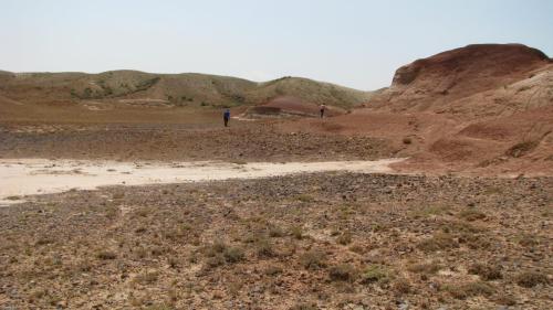 Robbers Gulch Algae 8